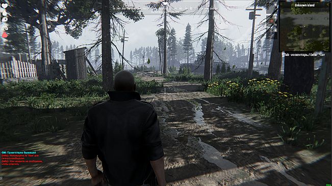 Curse of the Dead