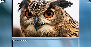 Super Jigsaw Puzzle: Generations - Birds Puzzles