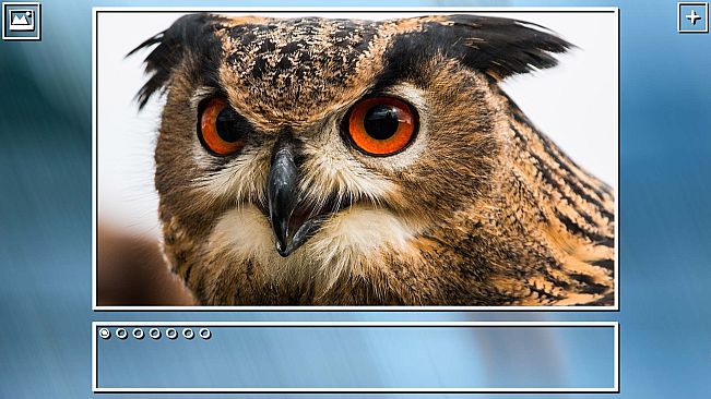 Super Jigsaw Puzzle: Generations - Birds Puzzles