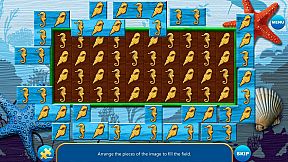 Lots of Things - Collector's Edition