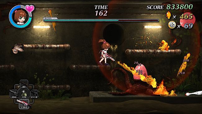 SHOOTING CHICKEN BRUTAL SUCKERS