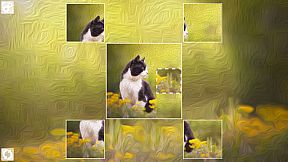 Puzzle Art: Cats