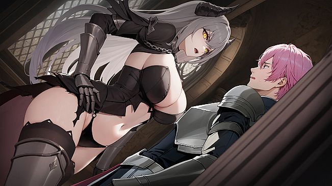 Resist the succubus—The end of the female Knight