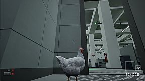 A Chicken In The Office
