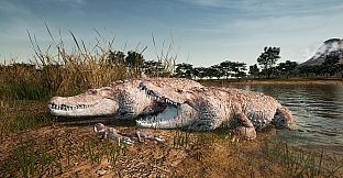 Animalia New African Skins