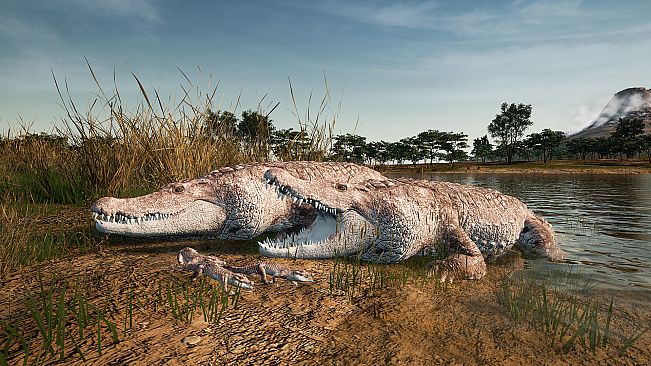 Animalia New African Skins