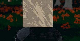 Hide and Seek - Box Head