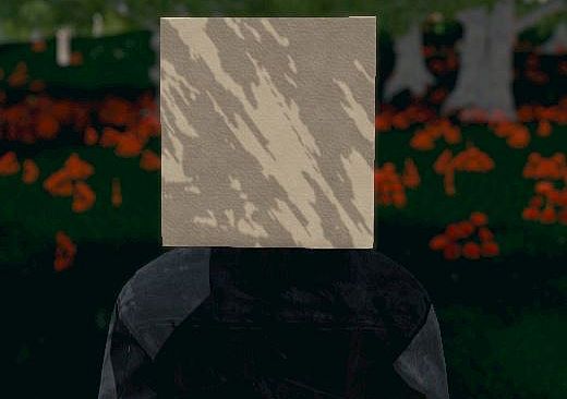 Hide and Seek - Box Head