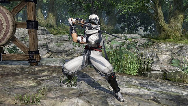 WARRIORS OROCHI 4 Ultimate - Legendary Costumes OROCHI Pack 4