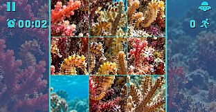Puzzle Seahorses