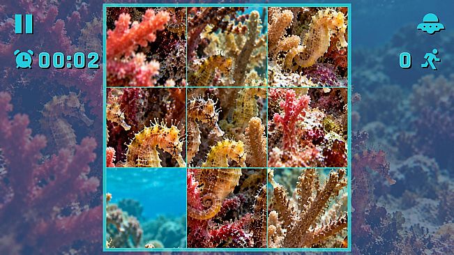 Puzzle Seahorses