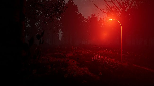 Forbidden Forgiveness