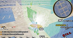 Protecting the diamond