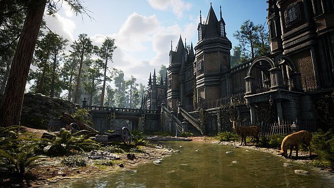 The Last Saviour: Search of Truth