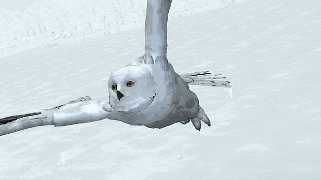 D4: Dark Dreams Don’t Die -Season One-