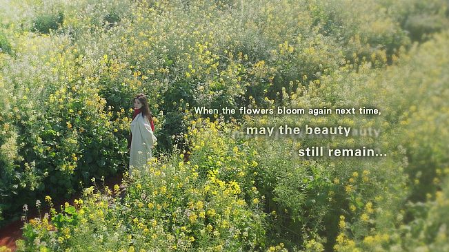 I've Fallen For You!