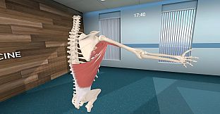 Human Anatomy VR