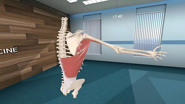 Human Anatomy VR