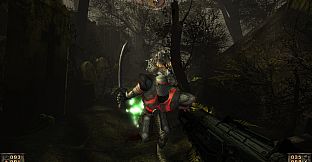 Painkiller: Recurring Evil