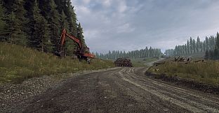 DiRT Rally 2.0 - Wales (Rally Location)