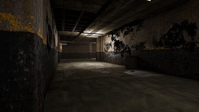 The Abandoned Levels