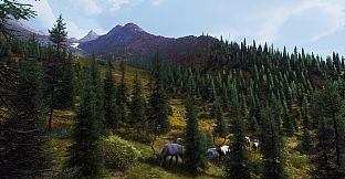 Way of the Hunter - Aurora Shores