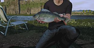 Euro Fishing: The Moat