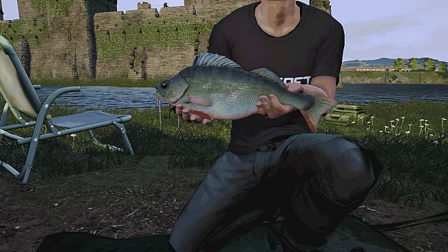 Euro Fishing: The Moat
