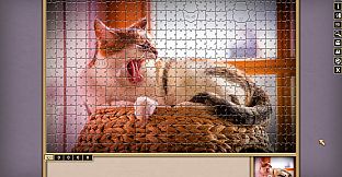 Pixel Puzzles Traditional Jigsaws: Flash Collection