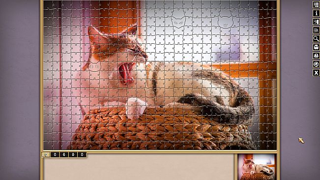 Pixel Puzzles Traditional Jigsaws: Flash Collection