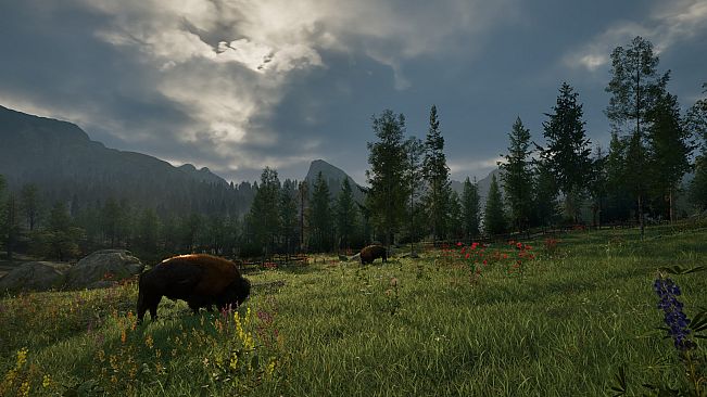 Ranger's Path: National Park Simulator