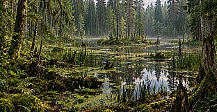 Puzzle Lakes Artbook