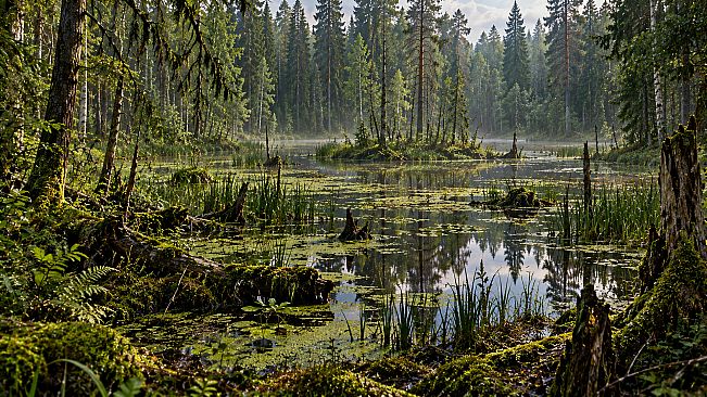 Puzzle Lakes Artbook