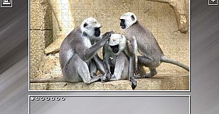 Super Jigsaw Puzzle: Generations - Monkeys & Apes Puzzles