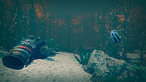 Pirates VR: Jolly Roger