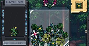 Suika And Dragons (Windows)