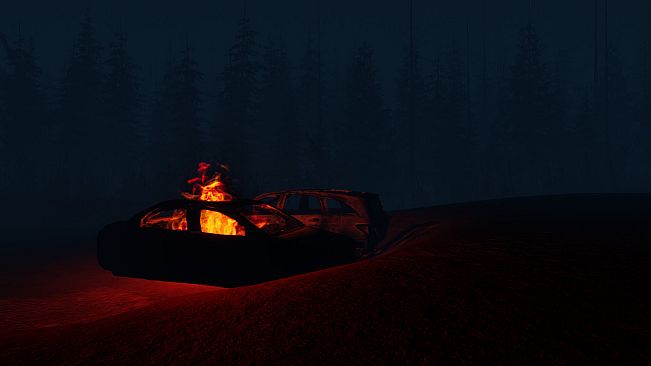 Stray Light