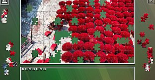 Super Jigsaw Puzzle: Generations - Random Puzzles 4