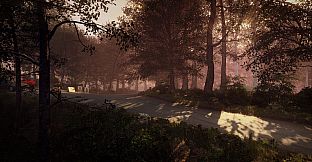 DiRT Rally 2.0 - Germany (Rally Location)