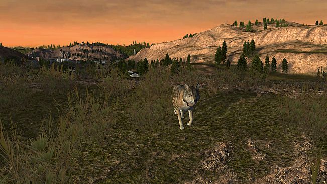 WolfQuest: Classic