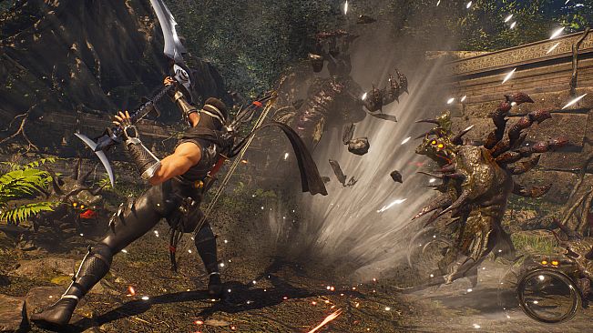 NINJA GAIDEN 2 Black