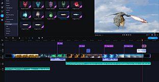 Movavi Video Suite 2022 - Magic World Set