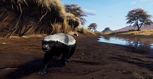 Way of the Hunter - Tikamoon Plains