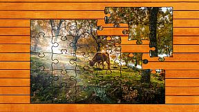 Golden Leaf Jigsaw Puzzles
