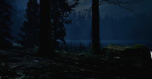 "217" A Psychological Survival Thriller