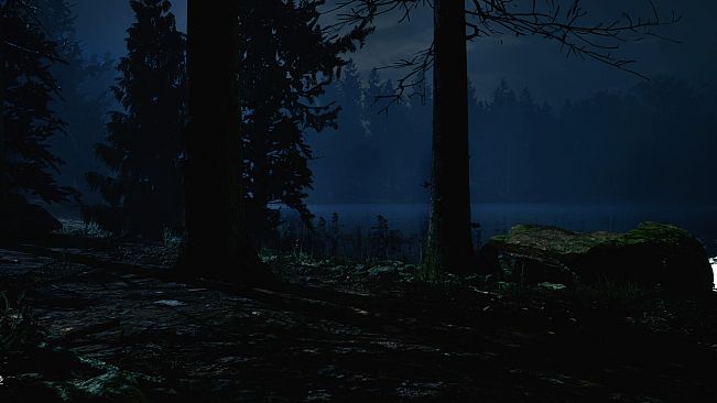 "217" A Psychological Survival Thriller