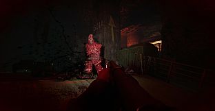 Projekt Z: Beyond Order