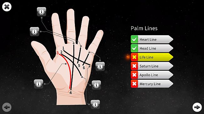 Palm Reading Premium