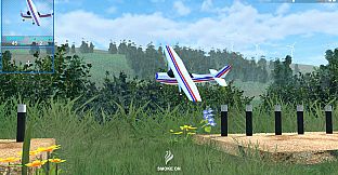 Real RC: Flight Simulator Aircraft Remote Control 2026