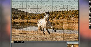 Pixel Puzzles Traditional Jigsaws Pack: Variety Pack 10